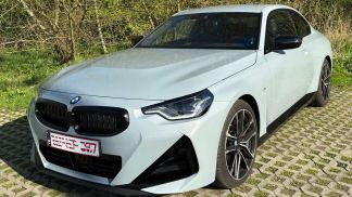 Lízing Kupé BMW 230 2024
