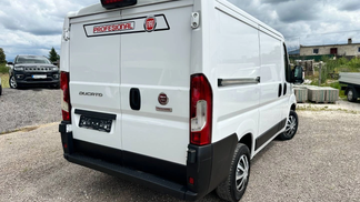 Van Fiat Ducato 2019