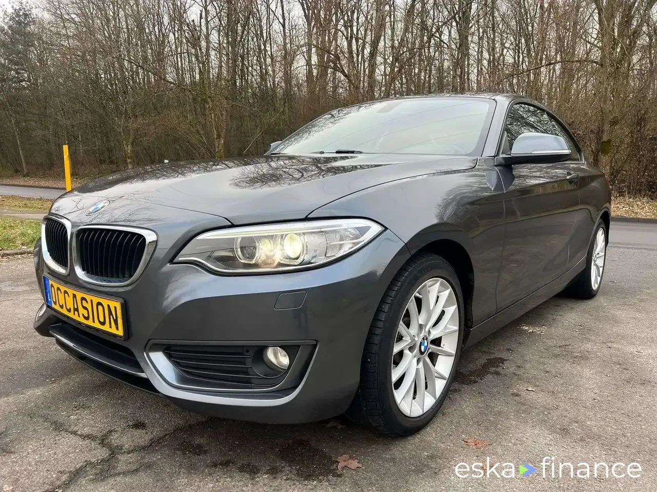 Lízing Kupé BMW 218 2017