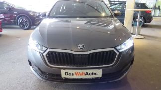 Leasing Wagon Skoda Octavia 2023