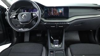 Finansowanie Sedan Skoda Octavia 2021