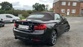 Lízing Kabriolet BMW 220 2015