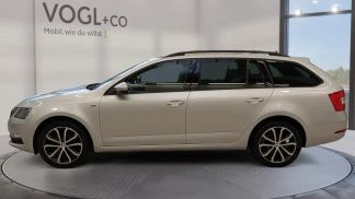 Leasing Wagon Skoda Octavia 2019