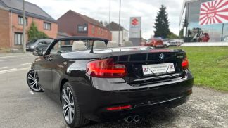 Lízing Kabriolet BMW 220 2015