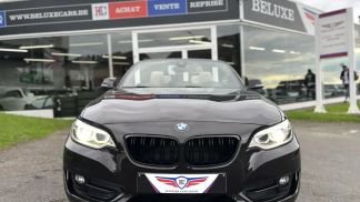 Lízing Kabriolet BMW 220 2015
