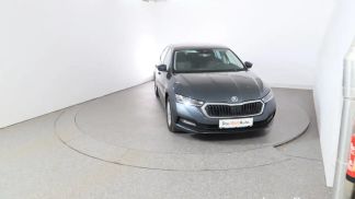 Finansowanie Sedan Skoda Octavia 2021