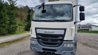 Leasing Special truck DAF LF 250 2016