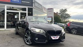 Lízing Kabriolet BMW 220 2015