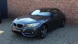 Lízing Kupé BMW 218 2014