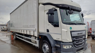 Leasing Truck (chassis) DAF LF290FA 2022