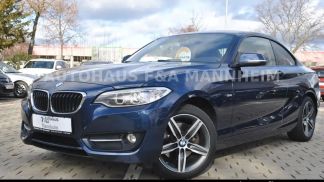 Financování Kupé BMW 220 2017
