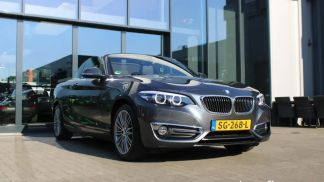 Financování Konvertibilní BMW 220 2018