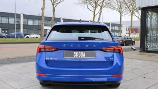 Leasing Wagon Skoda Octavia 2021