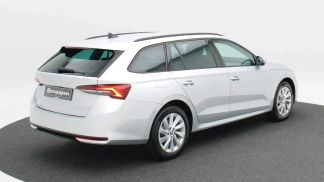 Leasing Wagon Skoda Octavia 2024