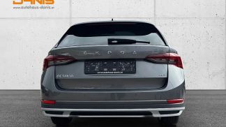 Leasing Wagon Skoda Octavia 2022