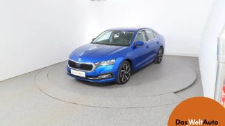Finansowanie Sedan Skoda Octavia 2021