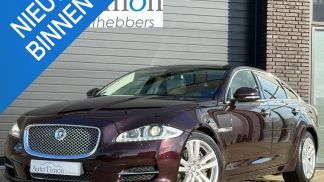 Leasing Sedan Jaguar XJ 2010