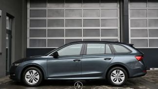 Leasing Wagon Skoda Octavia 2021