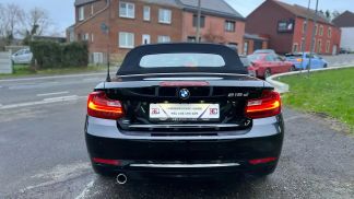 Lízing Kabriolet BMW 218 2016