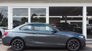 Lízing Kupé BMW 220 2014