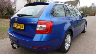 Leasing Wagon Skoda Octavia 2019