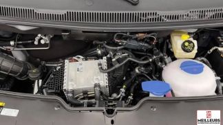 Leasing Sedan Volkswagen Transporter 2024
