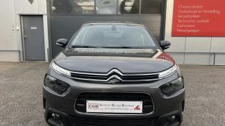 Hatchback Citroën C4 Cactus 2019