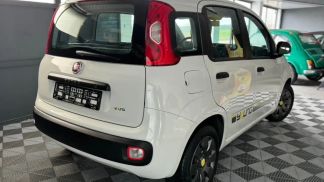 Financování Sedan Fiat Panda 2015