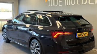 Leasing Wagon Skoda Octavia 2022