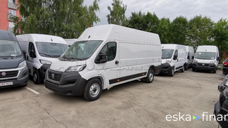 Van Fiat Ducato 2024