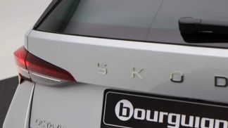 Leasing Wagon Skoda Octavia 2024