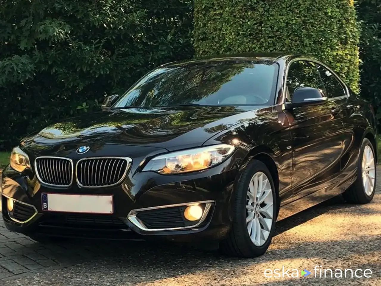 Leasing Coupe BMW 218 2015