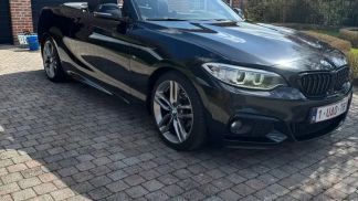Lízing Kabriolet BMW 218 2016