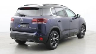Leasing SUV Citroën C5 Aircross 2023
