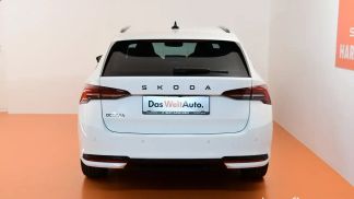 Leasing Wagon Skoda Octavia 2024