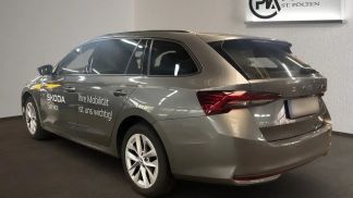 Leasing Wagon Skoda Octavia 2024