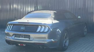 Leasing Convertible Ford Mustang 2021