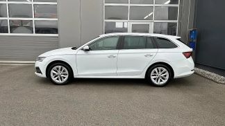 Leasing Wagon Skoda Octavia 2022