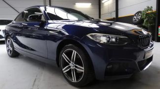 Lízing Kupé BMW 218 2017