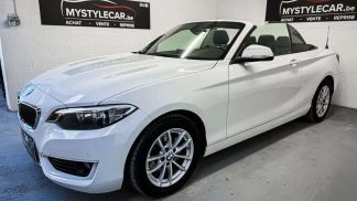 Financování Konvertibilní BMW 218 2017