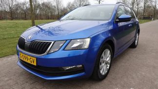 Leasing Wagon Skoda Octavia 2019