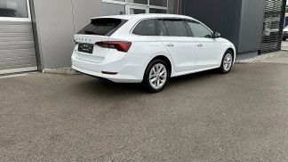 Leasing Wagon Skoda Octavia 2022