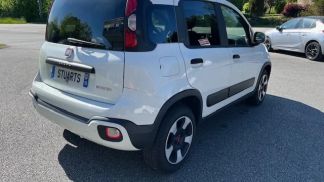 Leasing Sedan Fiat Panda 2023