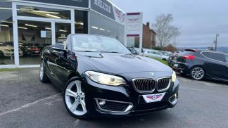 Lízing Kabriolet BMW 218 2016