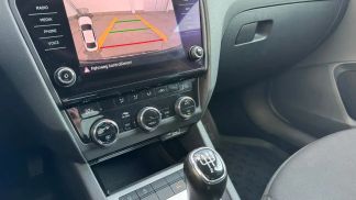 Finansowanie Sedan Skoda Octavia 2019