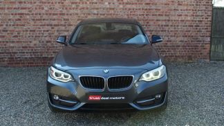 Lízing Kupé BMW 218 2014