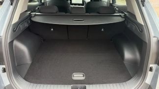 Leasing SUV Kia Sportage 2024