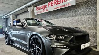 Lízing Kabriolet Ford Mustang 2020