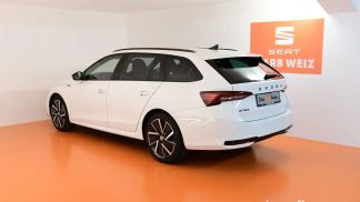 Leasing Wagon Skoda Octavia 2024