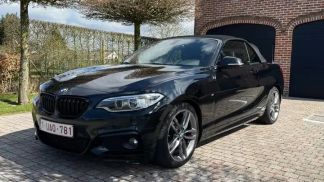 Lízing Kabriolet BMW 218 2016